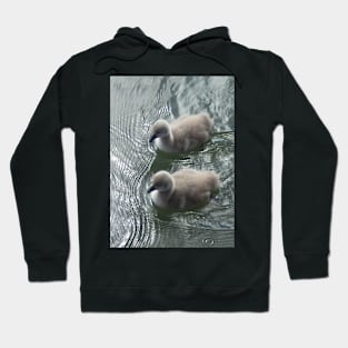 Swan chicks Hoodie